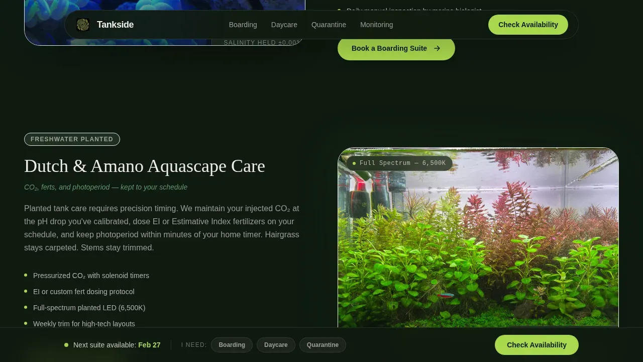 Expert Aquatic Boarding Landing Page Template