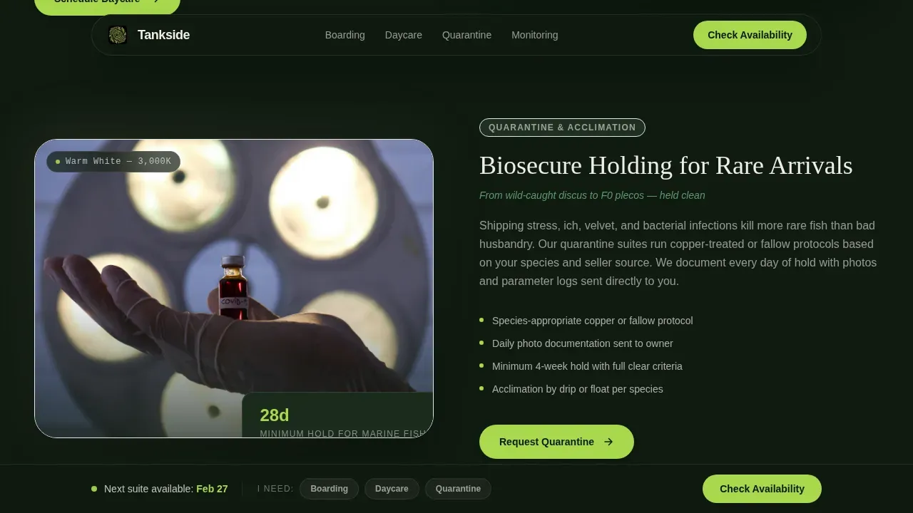 Expert Aquatic Boarding Landing Page Template
