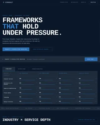 CFO & COO Management Consulting Dashboard Website Template