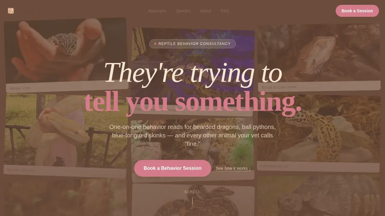 Expert Exotic Animal Coaching Landing Page Template