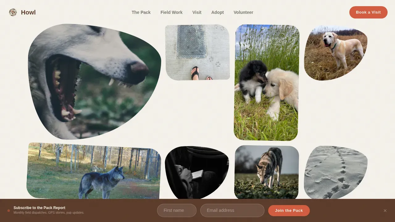 Wildlife & Conservation Professional Website Template