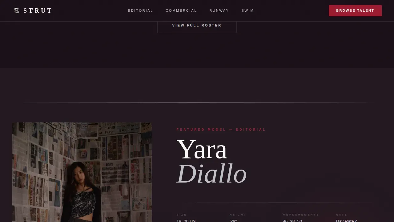 Luxe Curve Model Booking Landing Page Template