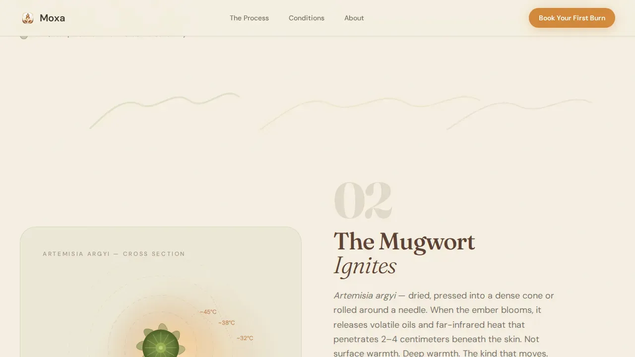 Wellness Modalities Appointment Booking Website Template