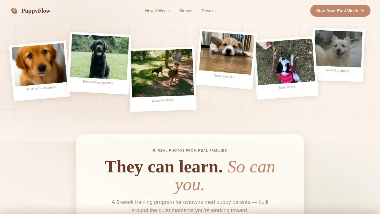 Pet Training & Behavior Professional Website Template