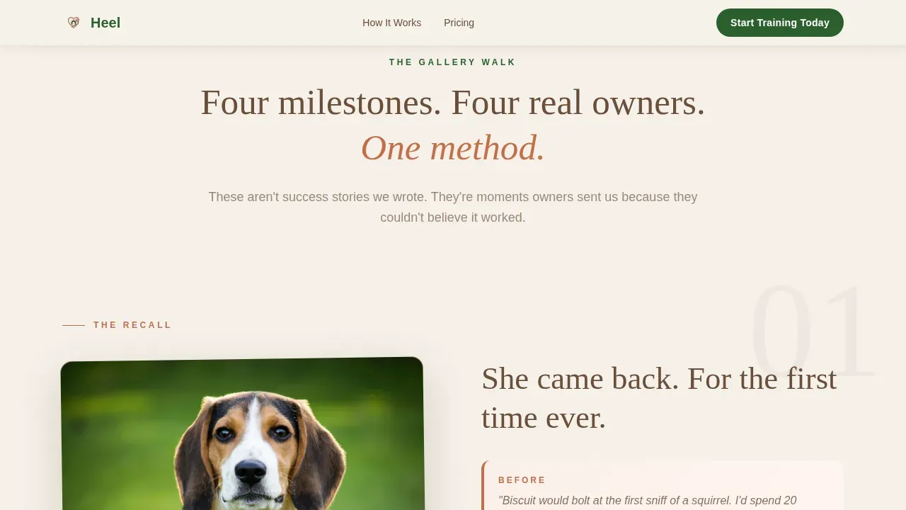 Dog Specialist Pricing Website Template