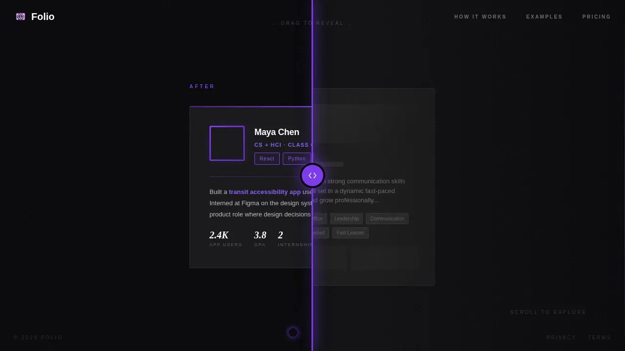 Professional Networking Bio Builder Landing Page Template