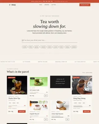 Subscription Box Services Professional Website Template