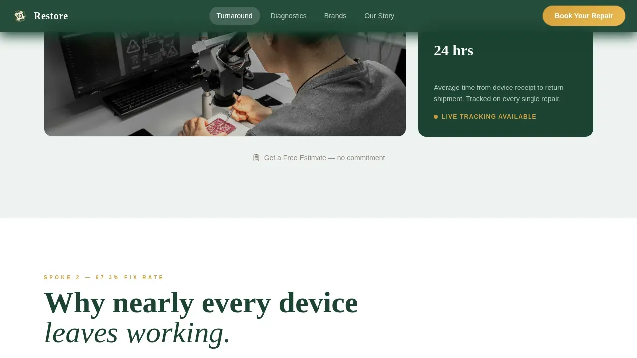 Precision Hearing Aid Repair Landing Page Template