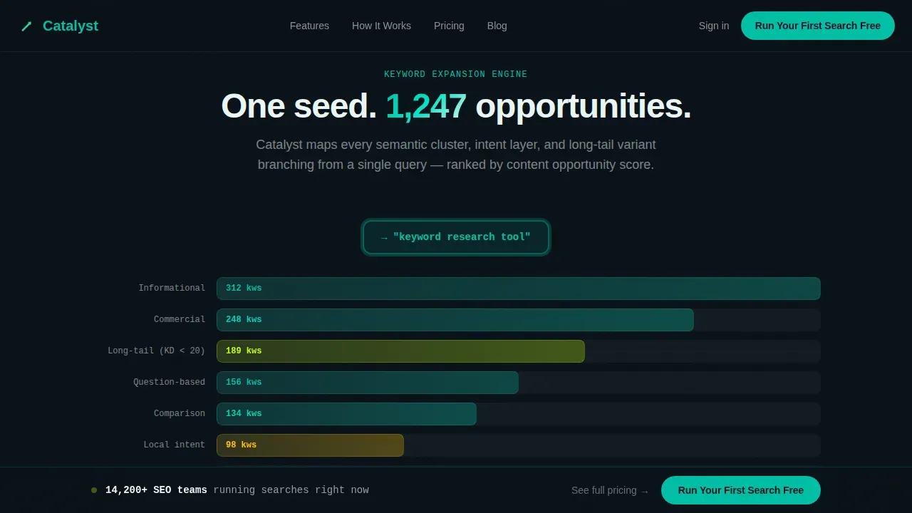 Micro-SaaS & Developer Tools Professional Website Template