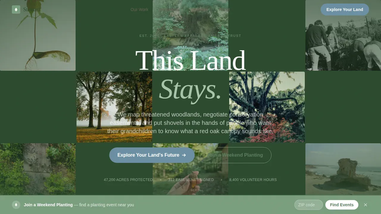 Environmental & Conservation NGO Professional Website Template