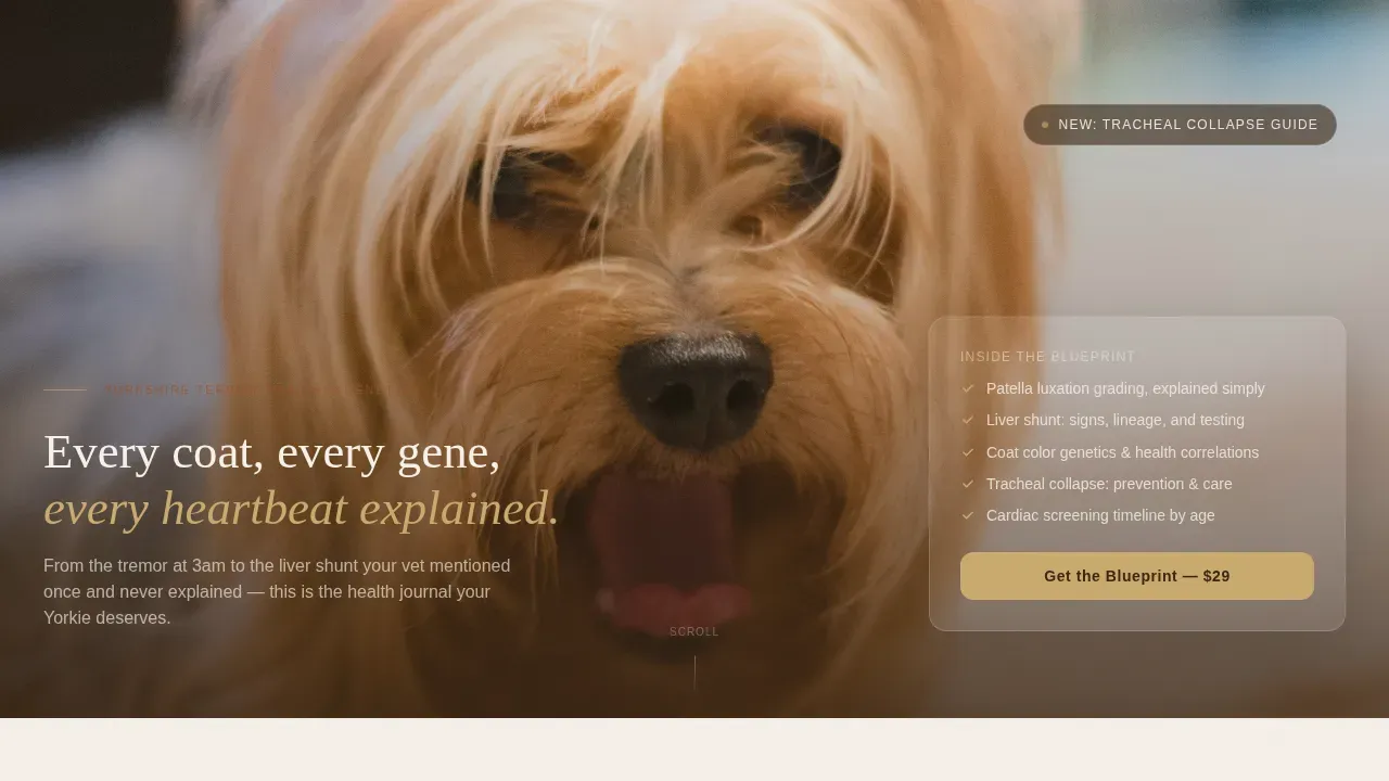 Health Genetics Blog Landing Page Template | Family First