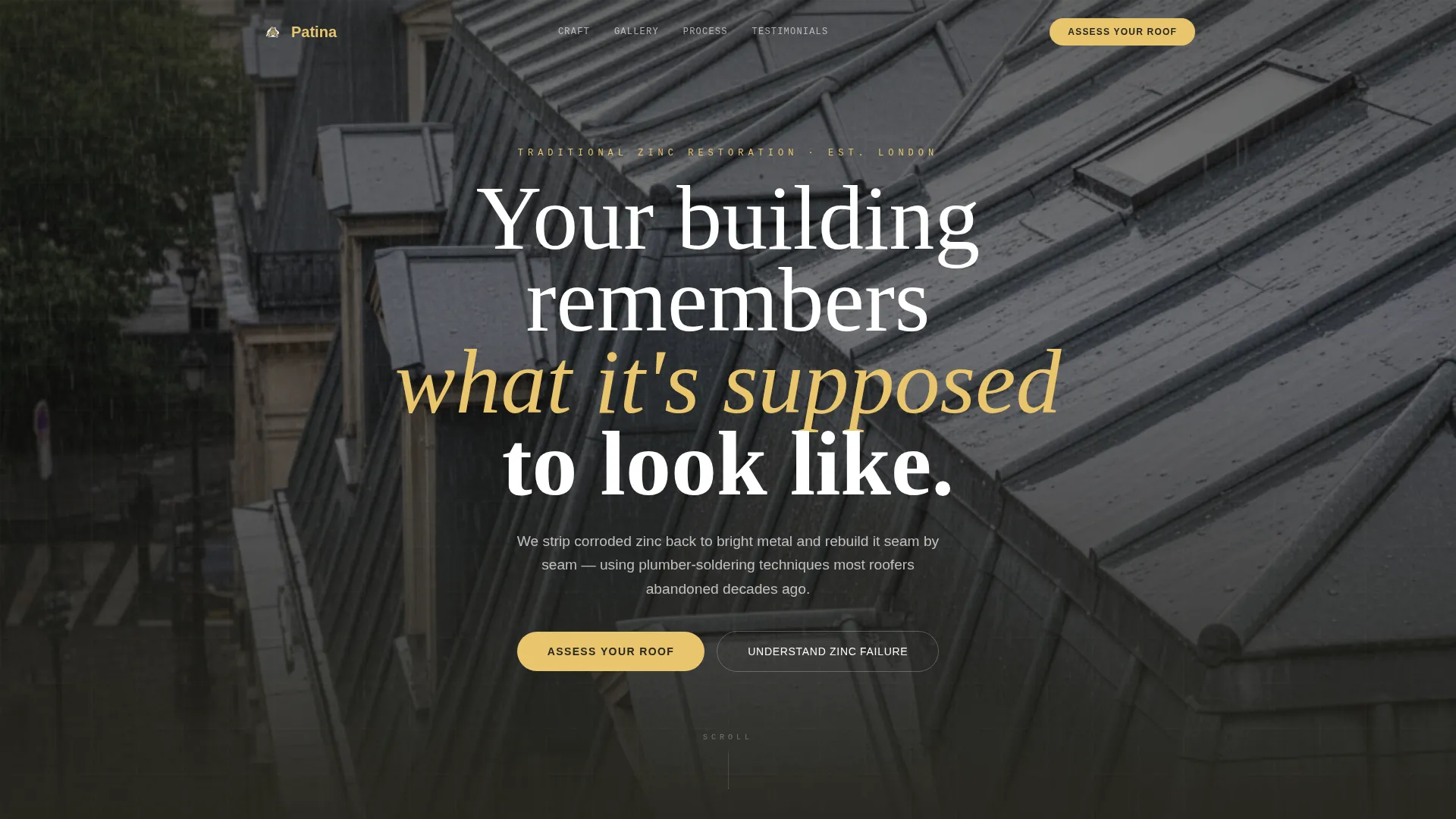 Zinc Restoration Landing Page Template