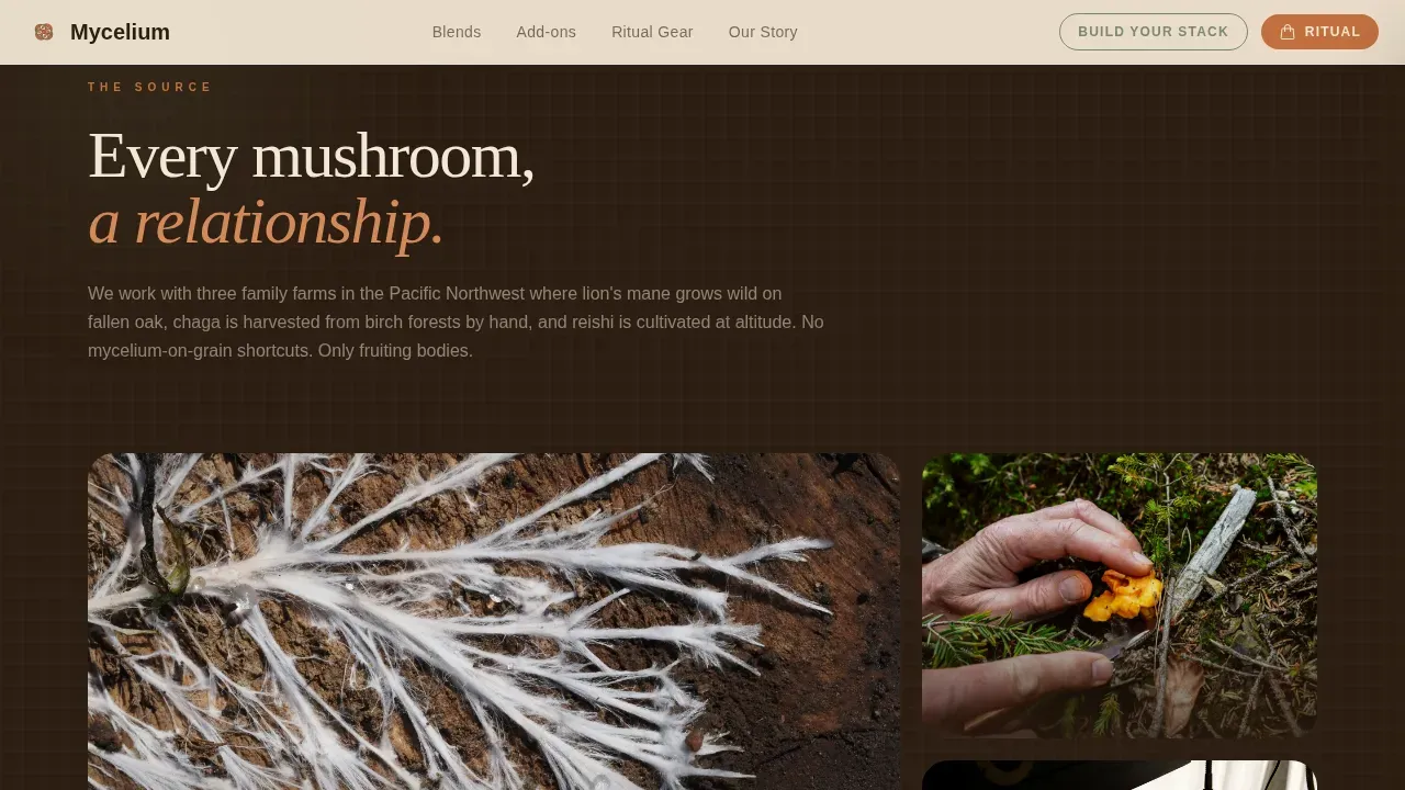Premium Mushroom Coffee Landing Page Template