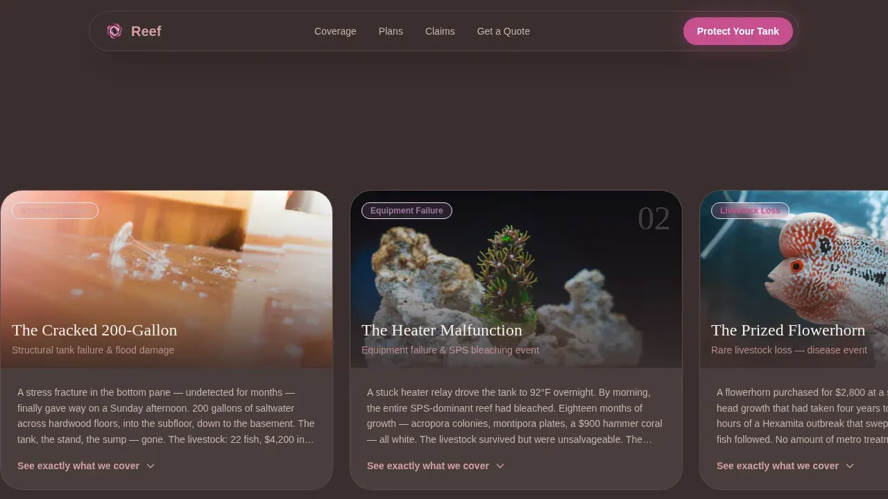 Fish & Aquarium Privacy Policy Website Template