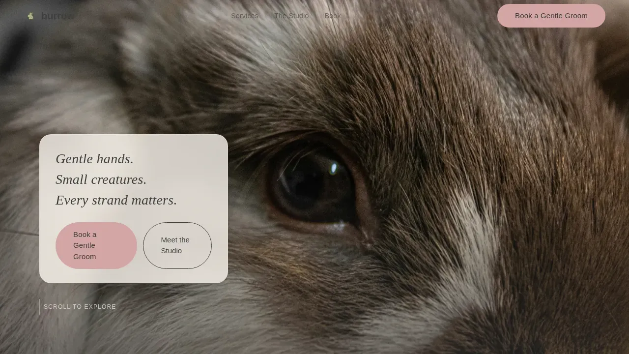 Gentle Small Animal Grooming Booking Landing Page Template