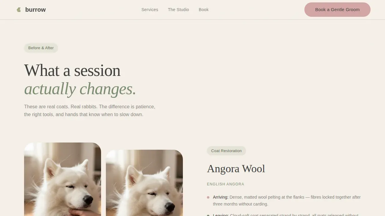 Gentle Small Animal Grooming Booking Landing Page Template