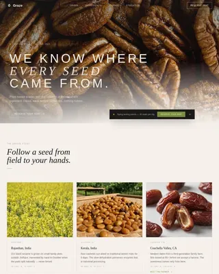 Luxe Minimal Vegan Snack Brand Landing Page Template