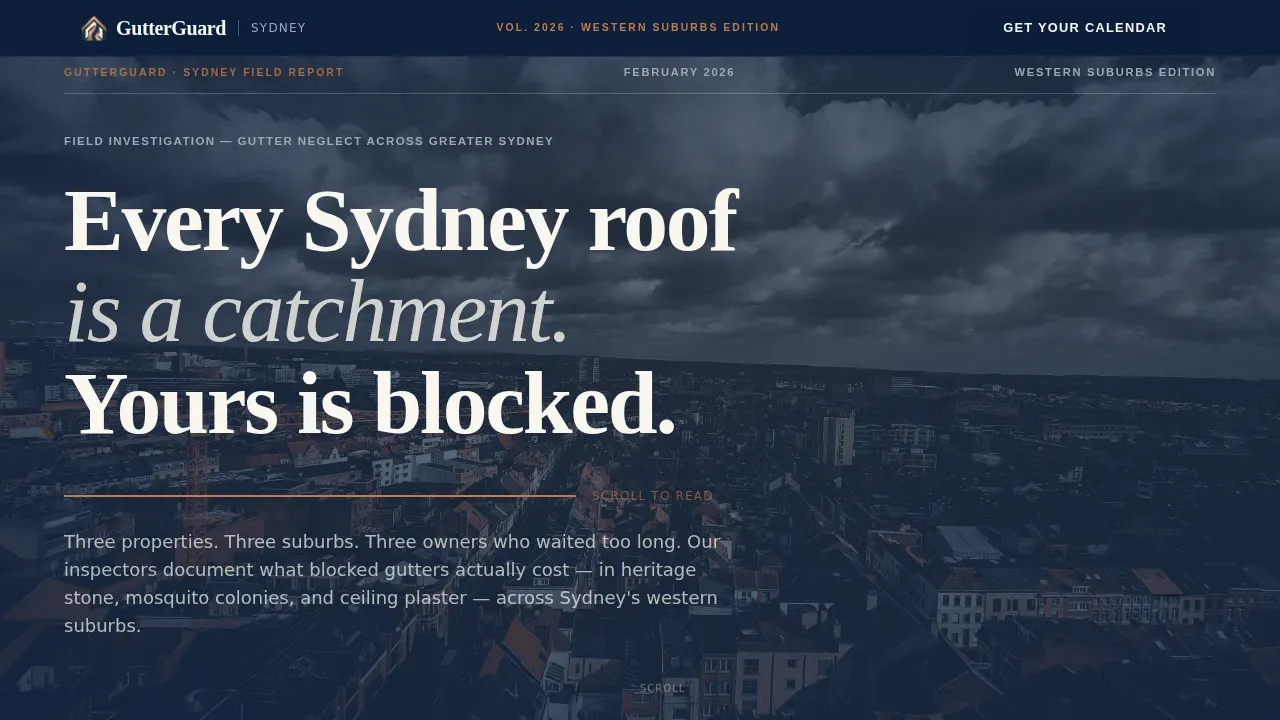 Authoritative Cleaning Solutions | Free Website Template | Rocket