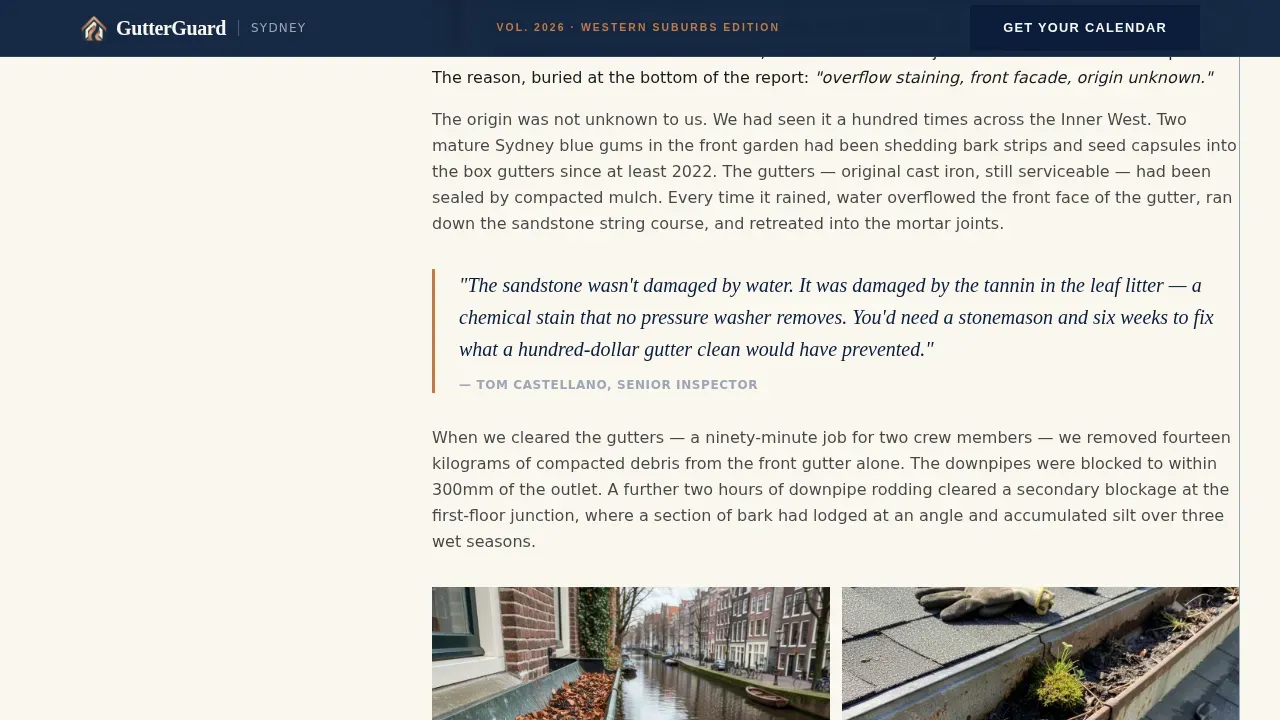 Authoritative Cleaning Solutions | Free Website Template | Rocket