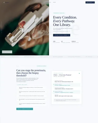 Nephrologist Reviews Website Template