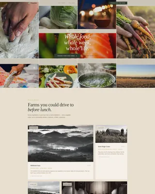Macrobiotic Food & Dining Booking Website Template