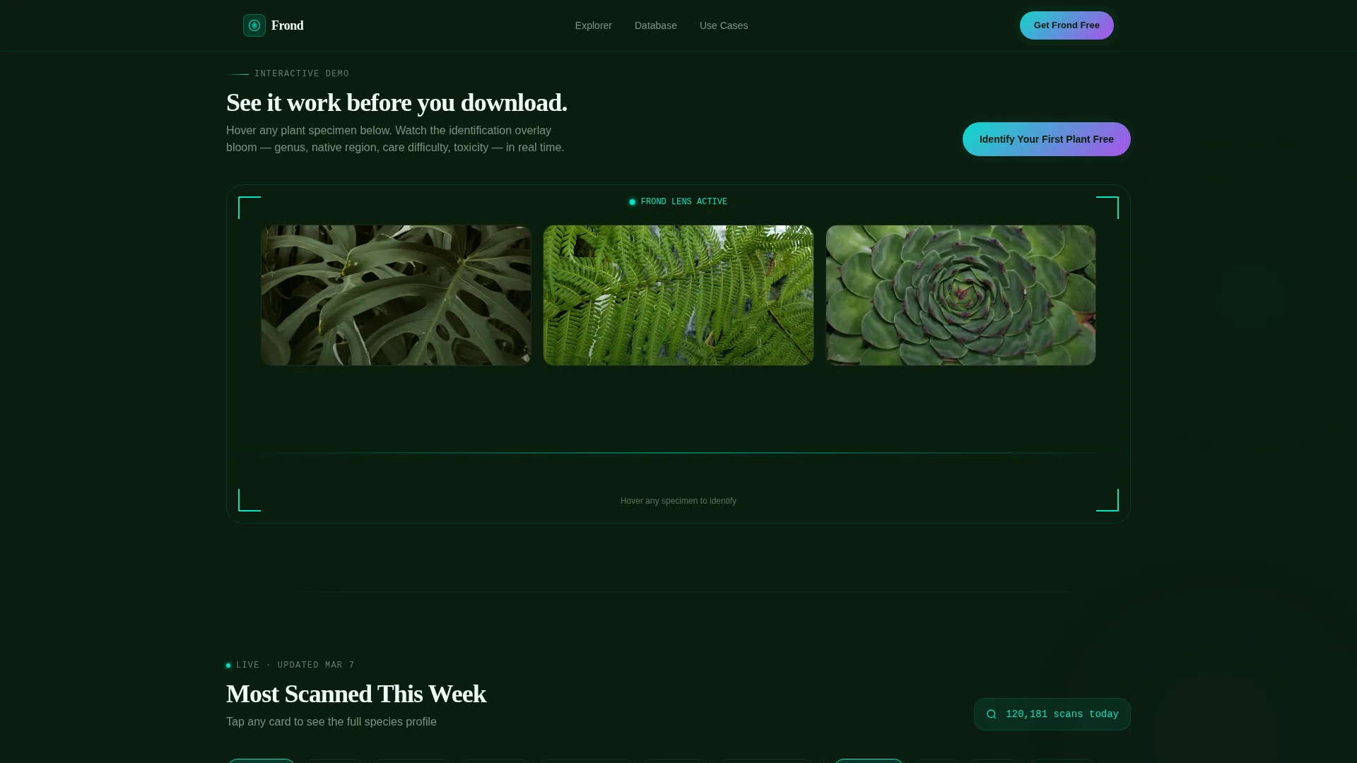 Consumer App & Platform Professional Website Template