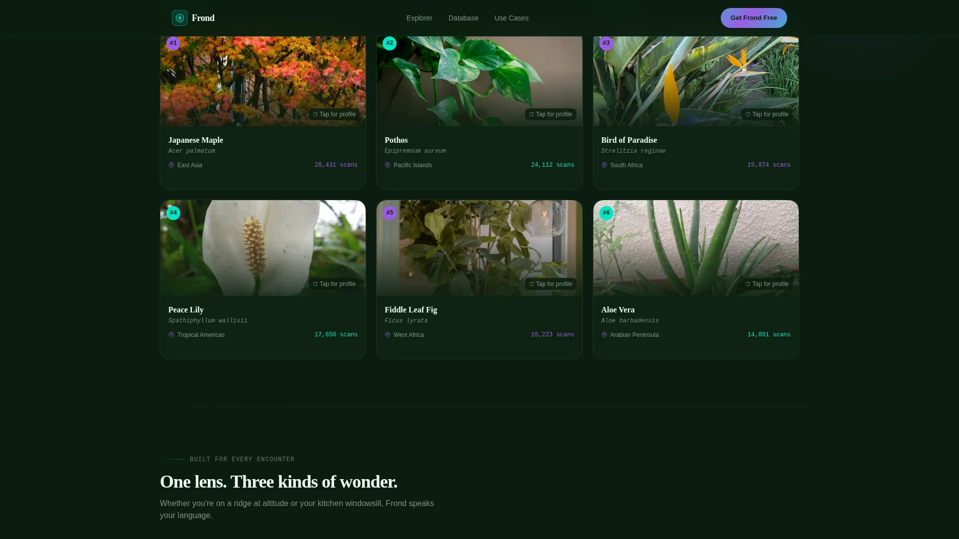 Consumer App & Platform Professional Website Template