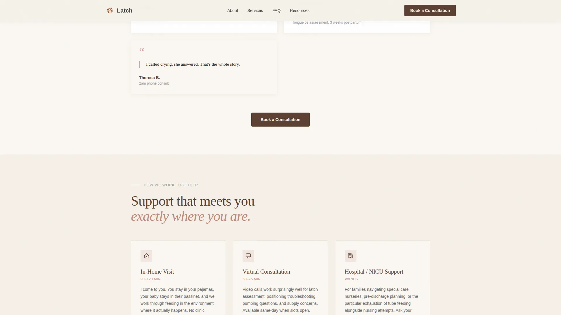 Lactation Consultant Booking Website Template