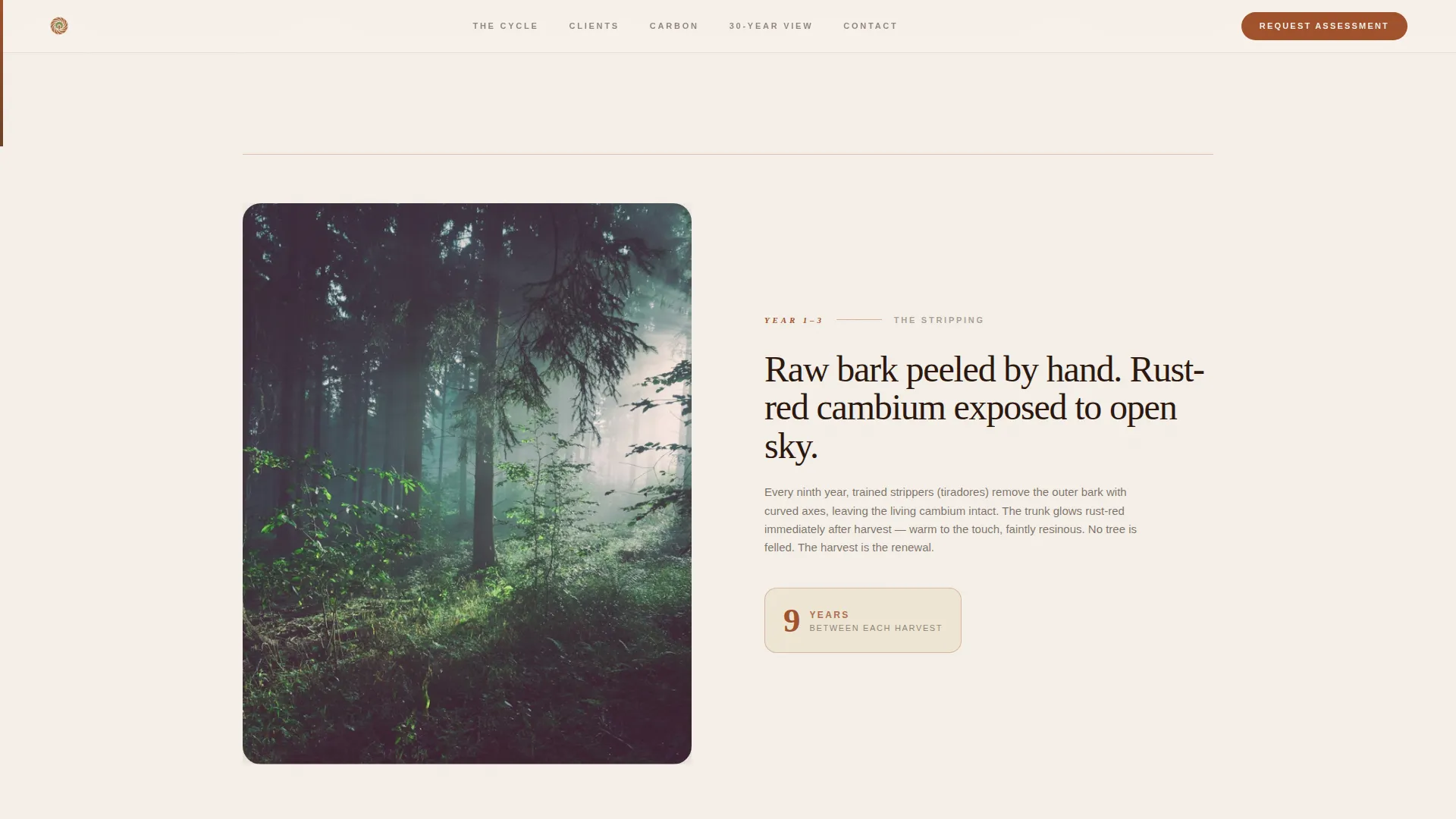 Forestry & Timber Professional Website Template