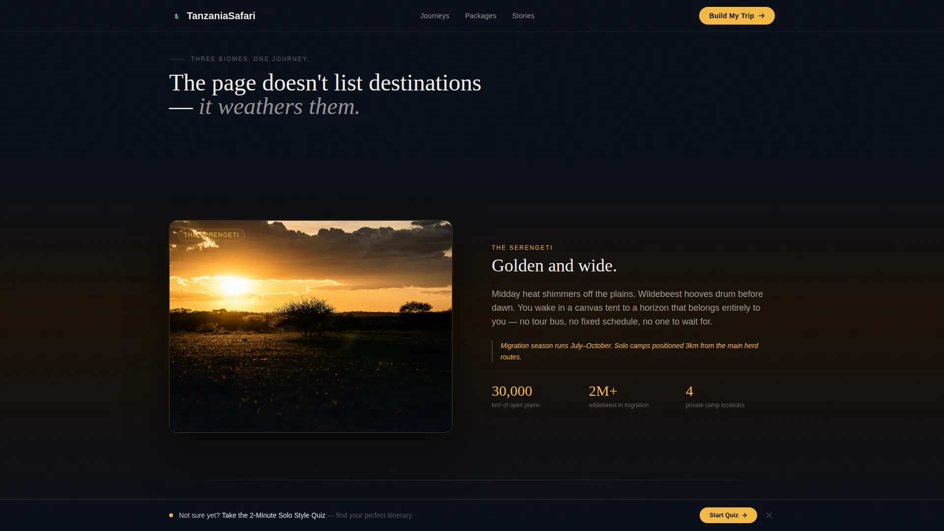 Tanzania Travel Pricing Website Template