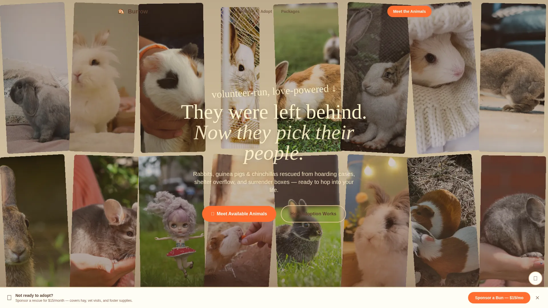 Rabbit & Small Animal Pricing Website Template