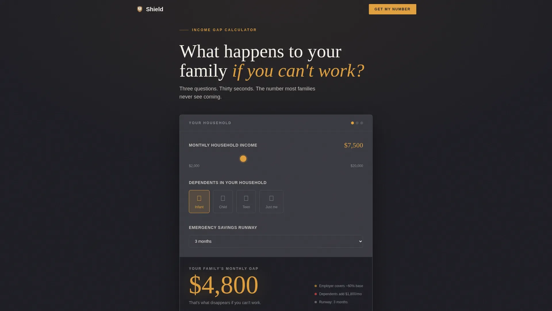 Family Income Protection Landing Page Template