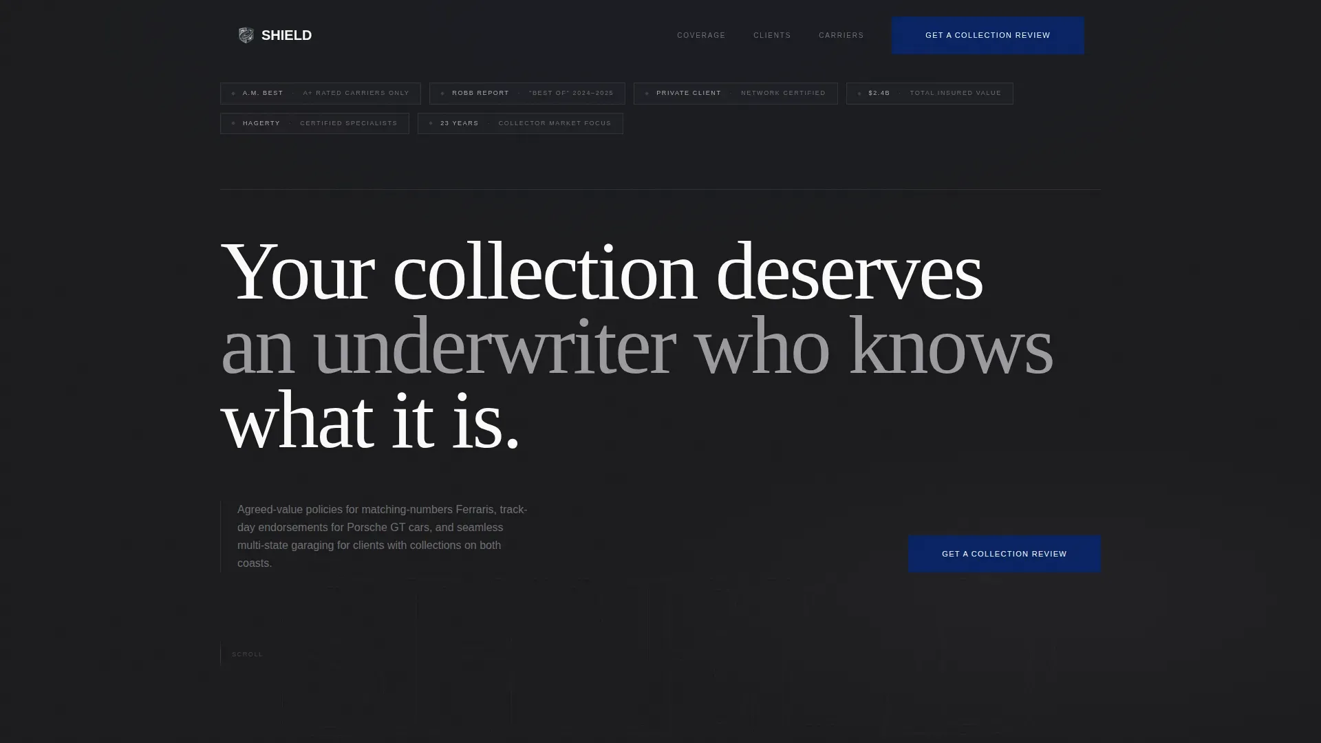 High Net Worth Individual Insurance Professional Website Template