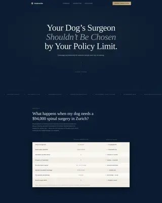 High Net Worth Individual Insurance Pricing Website Template