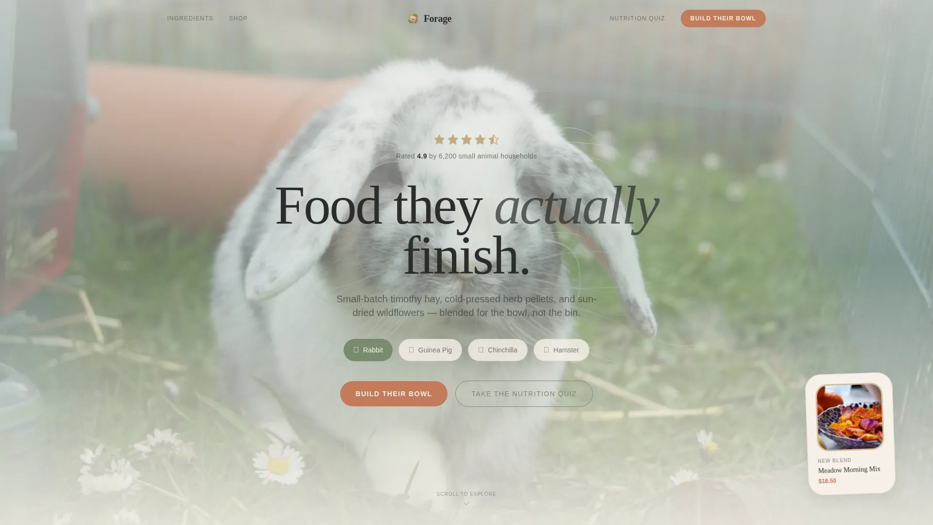 Rabbit & Small Animal Reviews Website Template