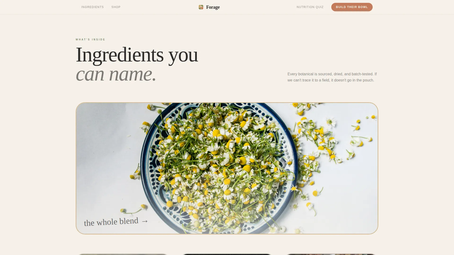 Rabbit & Small Animal Reviews Website Template