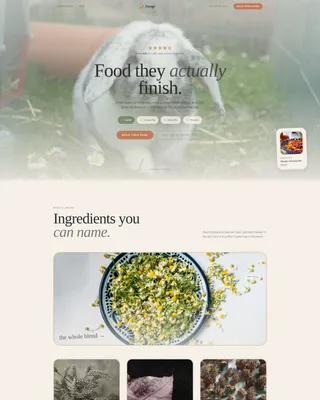 Rabbit & Small Animal Reviews Website Template