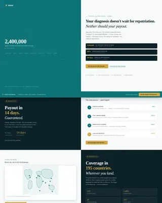 Critical Illness Policy Landing Page Template