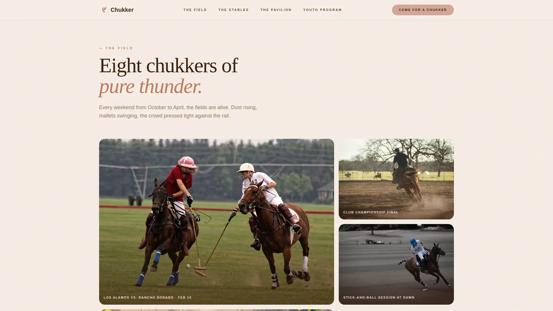 Horse & Equestrian Professional Website Template