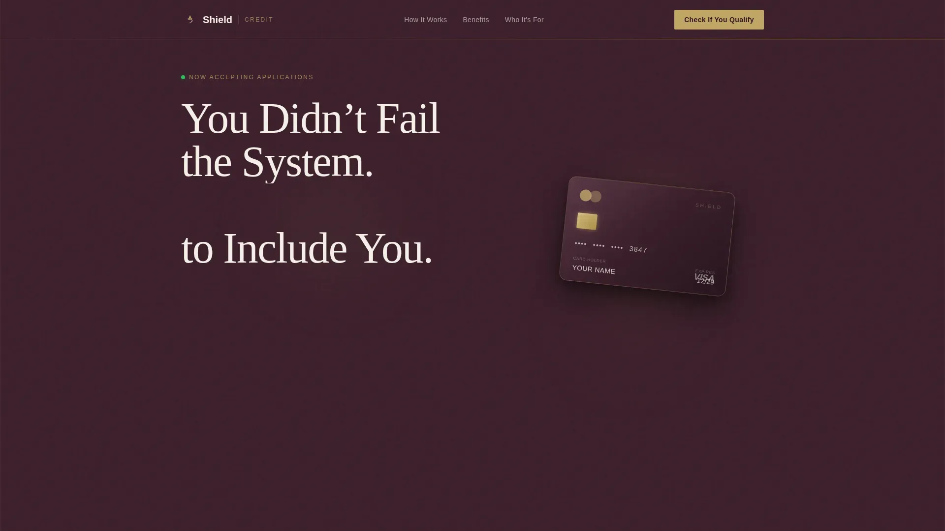 Specialist Low Income Finance Professional Website Template