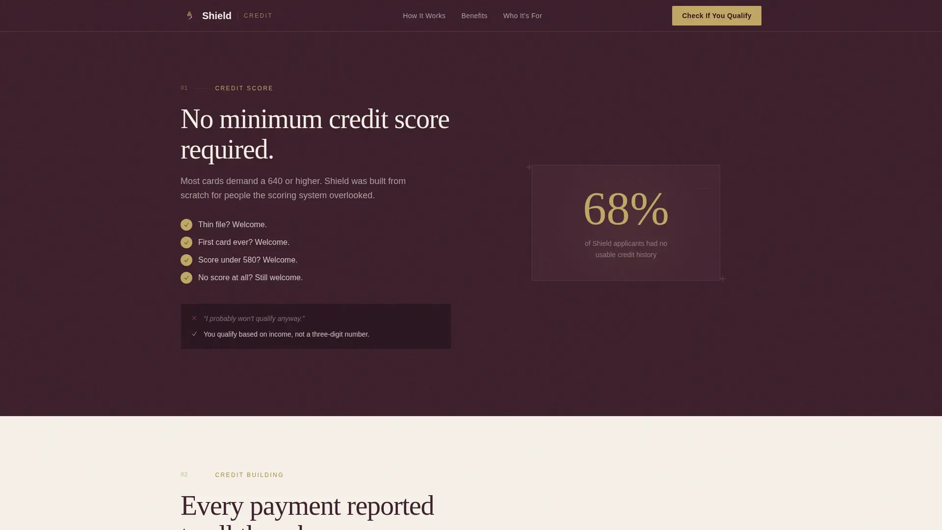 Specialist Low Income Finance Professional Website Template