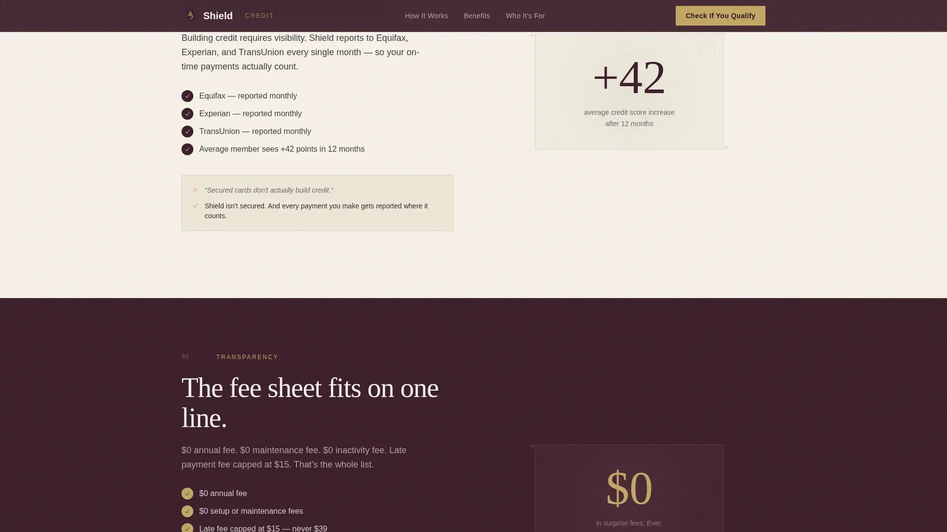 Specialist Low Income Finance Professional Website Template