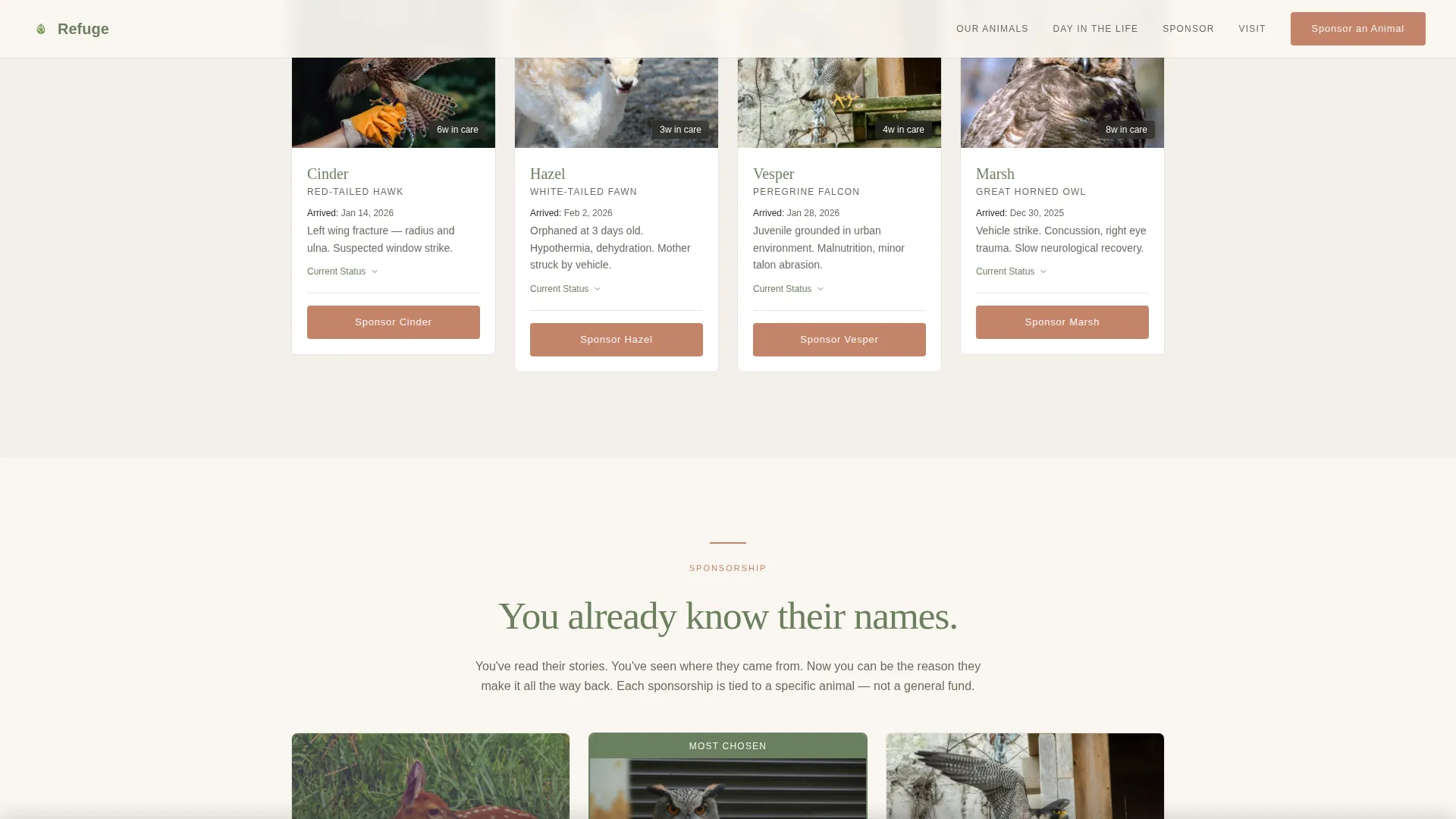 Pet Adoption & Rescue Professional Website Template