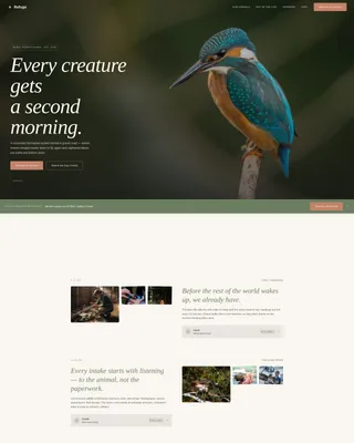Pet Adoption & Rescue Professional Website Template