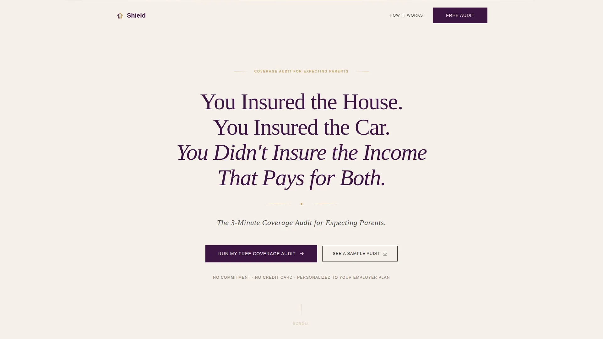 Executive Coverage Audit Landing Page Template