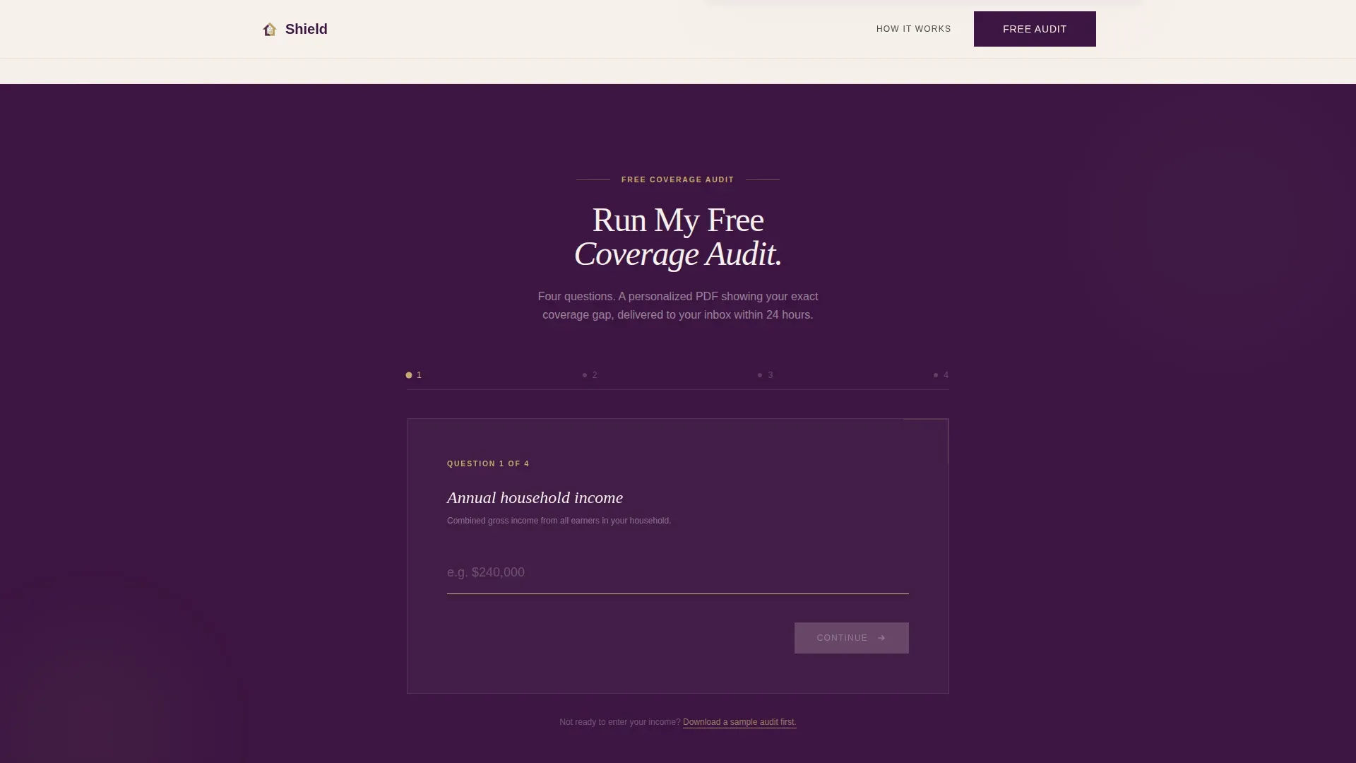 Executive Coverage Audit Landing Page Template