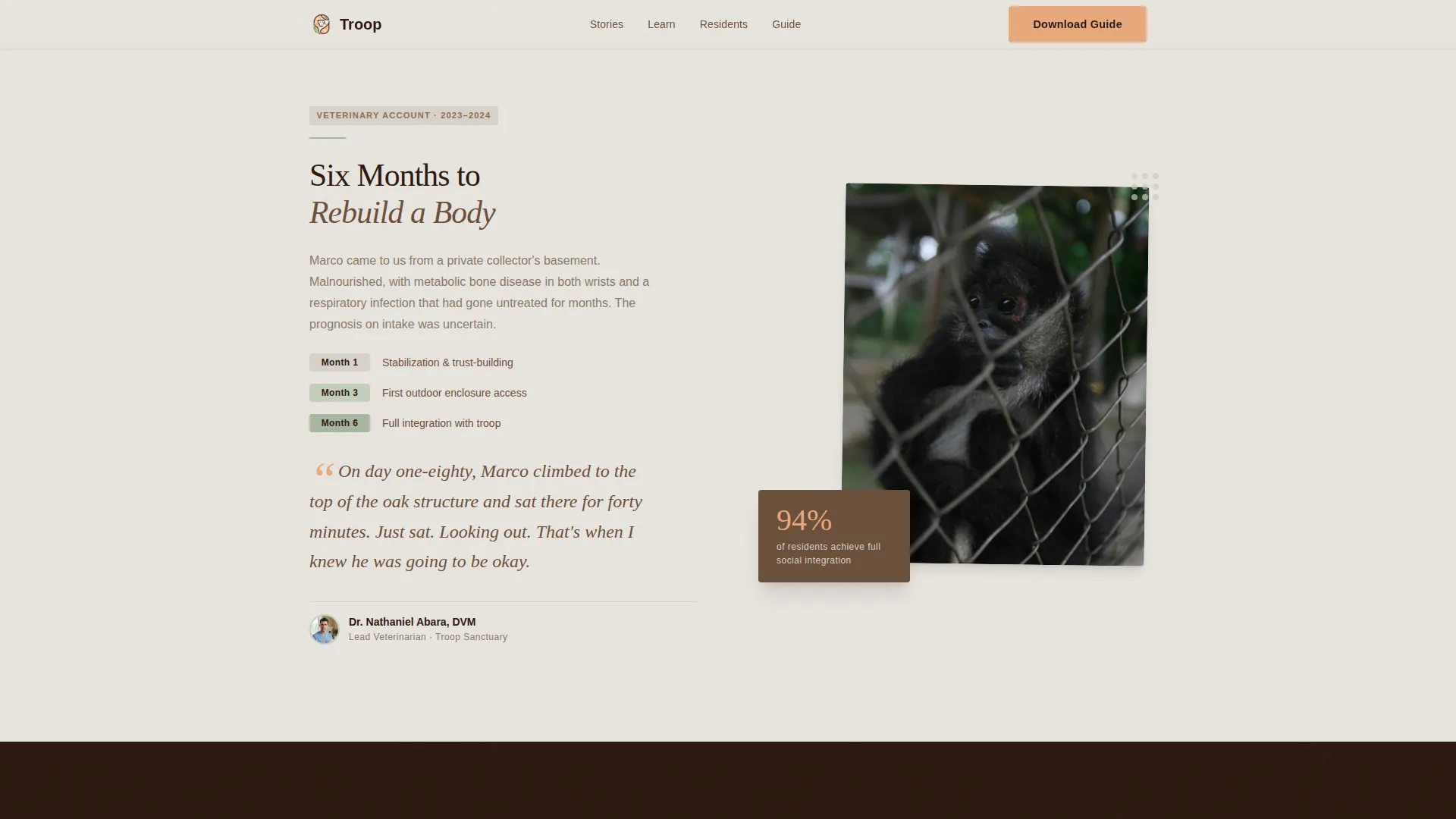Animal Welfare & Protection Reviews Website Template