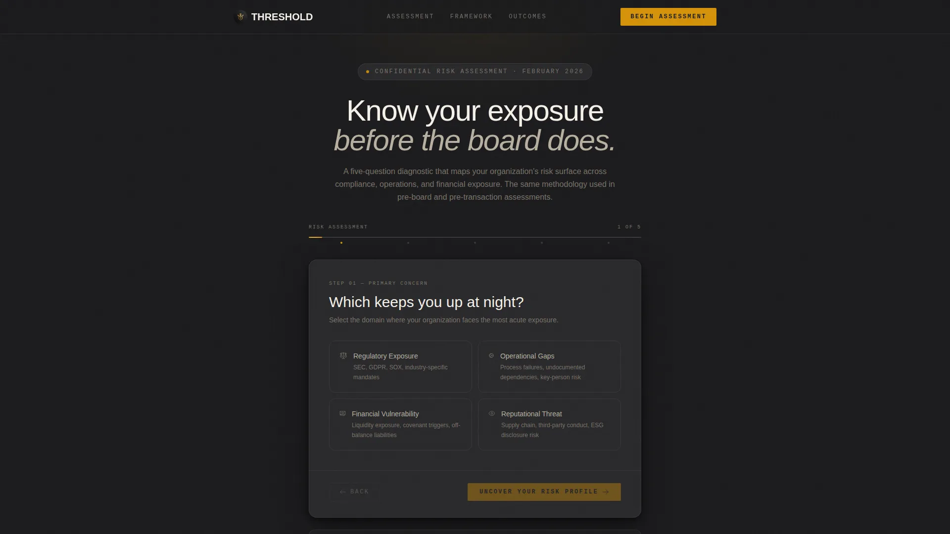 Executive Risk Assessment Landing Page Template