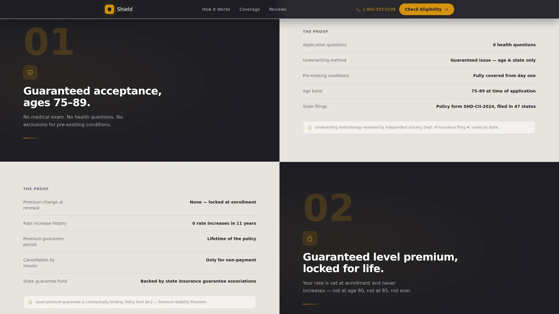 Senior (75+) Insurance Professional Website Template