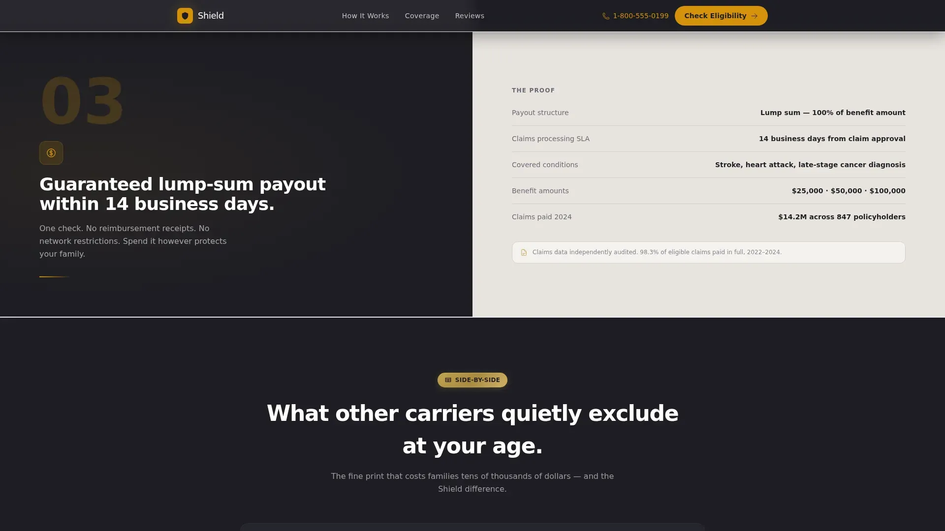 Senior (75+) Insurance Professional Website Template
